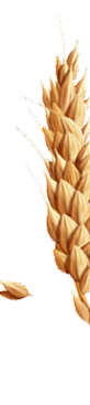 prostirání